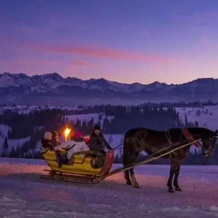 Pod Giewontem Apartment Zakopane