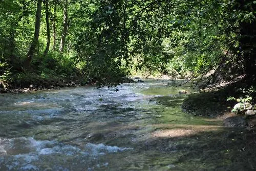 Pod Giewontem זקופאנה